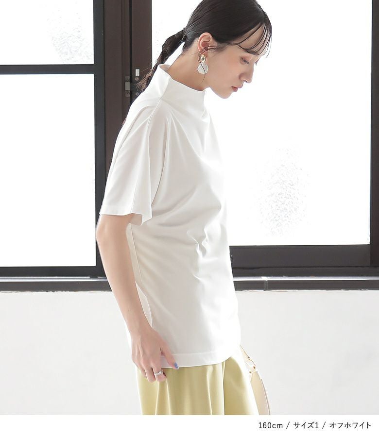 n'OrLABELひんやり冷感ボトルネックTシャツ』