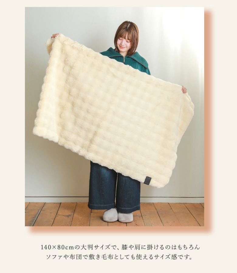 電気毛布かけしきタイプtoron』