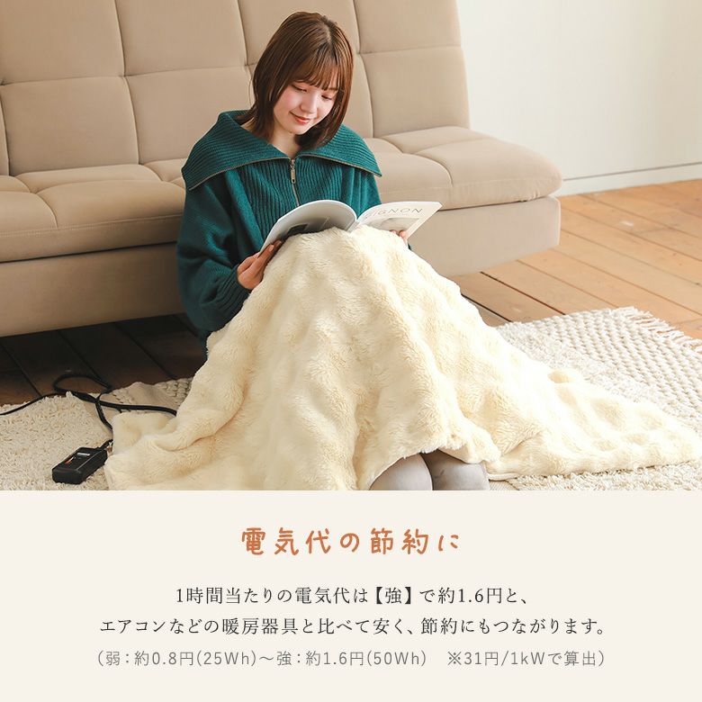 電気毛布かけしきタイプtoron』