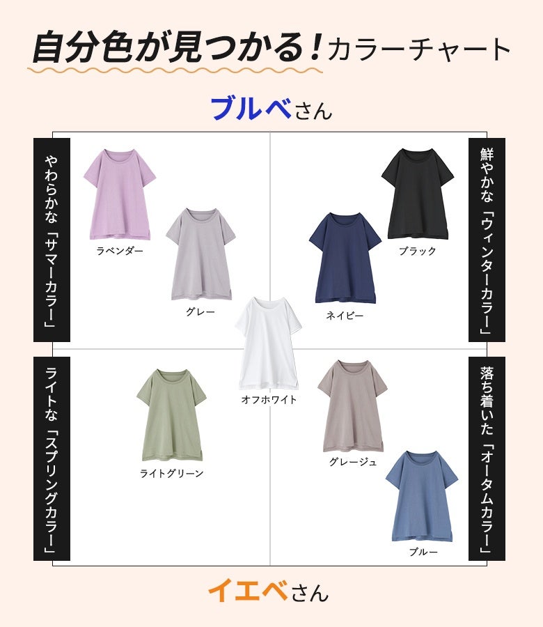 フレンチTシャツ』