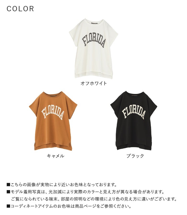 ドルマンビッグロゴTシャツ』