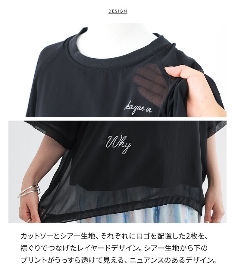 シアーレイヤードドロストロゴTシャツ』